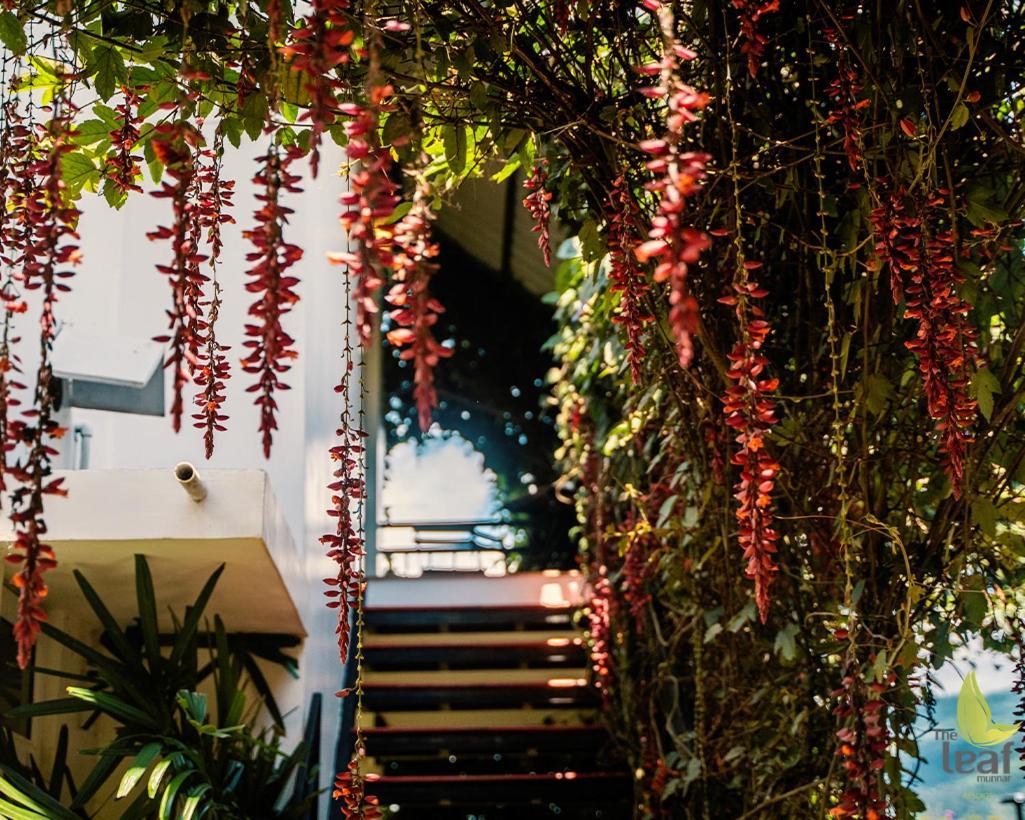 Hotel The Leaf Munnar Exterior foto